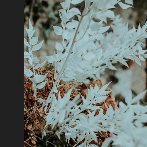 Thorma [ERS04]