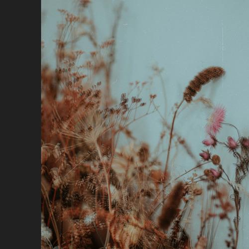 Raices [ERS05]