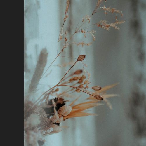 Drums 1​,​164​,​6 kj & 0​,​315​,​6 kj [ERS07]