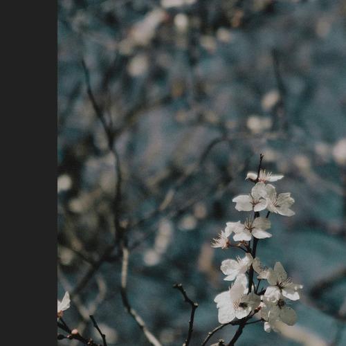 Slow Turquoise [ERS11]