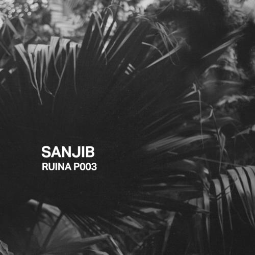 Ruina P003 | Sanjib
