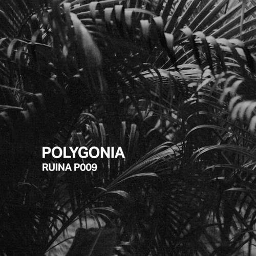 Ruina P009 | Polygonia