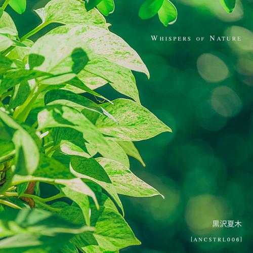 Whispers of Nature
