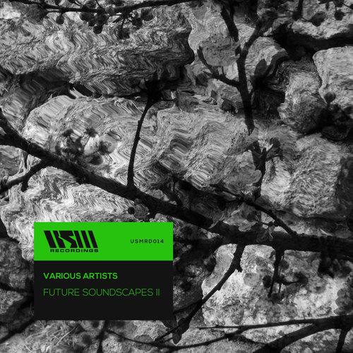 V.A. - Future Soundscapes II (USMRD014)