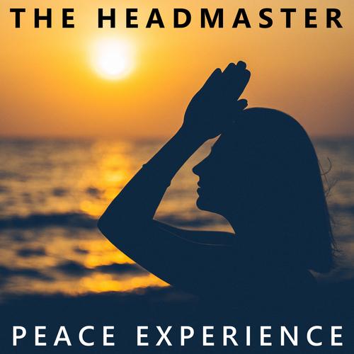 Peace Experience