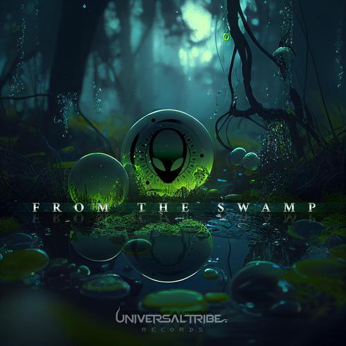 From The Swamp - VA Compilation
